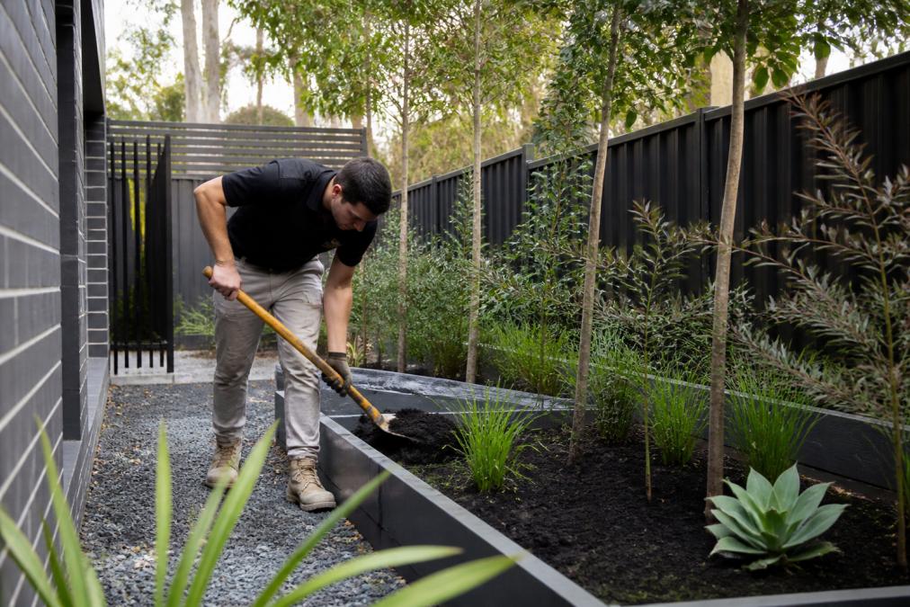 Landscaper Blacktown: Costs, Council Rules & Design