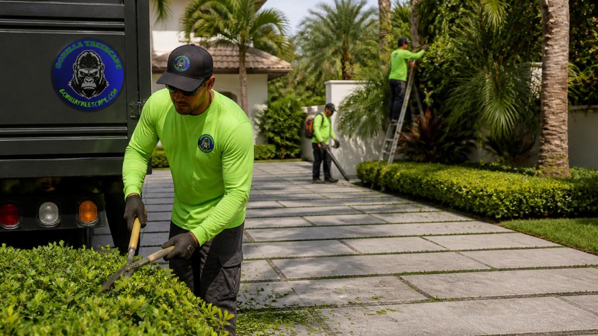 Landscaping Maintenance: A 2026 Guide