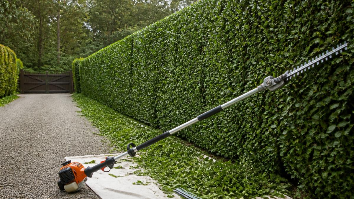 Large Property Hedge Trimming Services