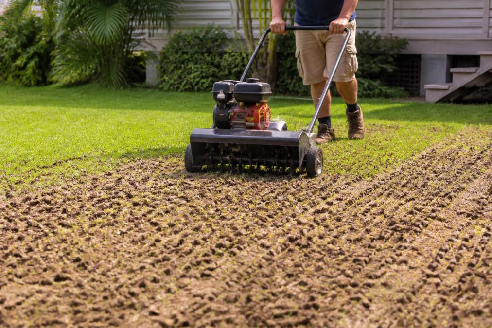 Person operating a core aerator on a residential lawn, showing the machine in action with soil plugs visible on the ground surface and grass visible behind the working area