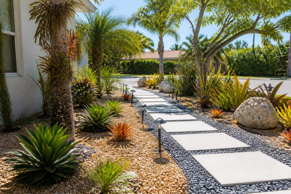 Lawn Alternatives in North Miami: 6 Options