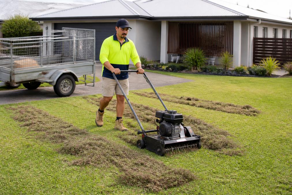 A person in work clothes pushing a walk-behind dethatcher across a suburban lawn, with a trailer parked nearby and piles of loosened thatch visible on the grass behind them