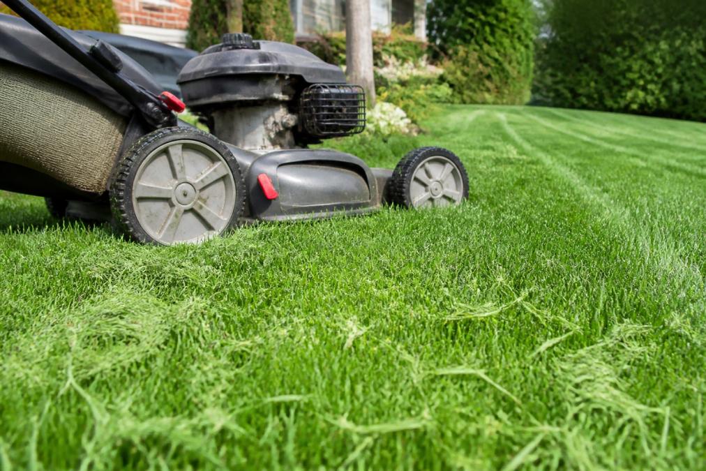 Lawn mower cutting grass at a high setting for healthy lawn care tips