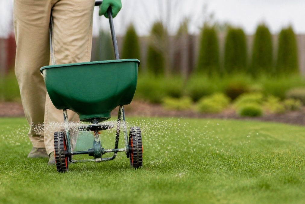 Lawn Fertilization Schedule for Ohio: 2026 Guide