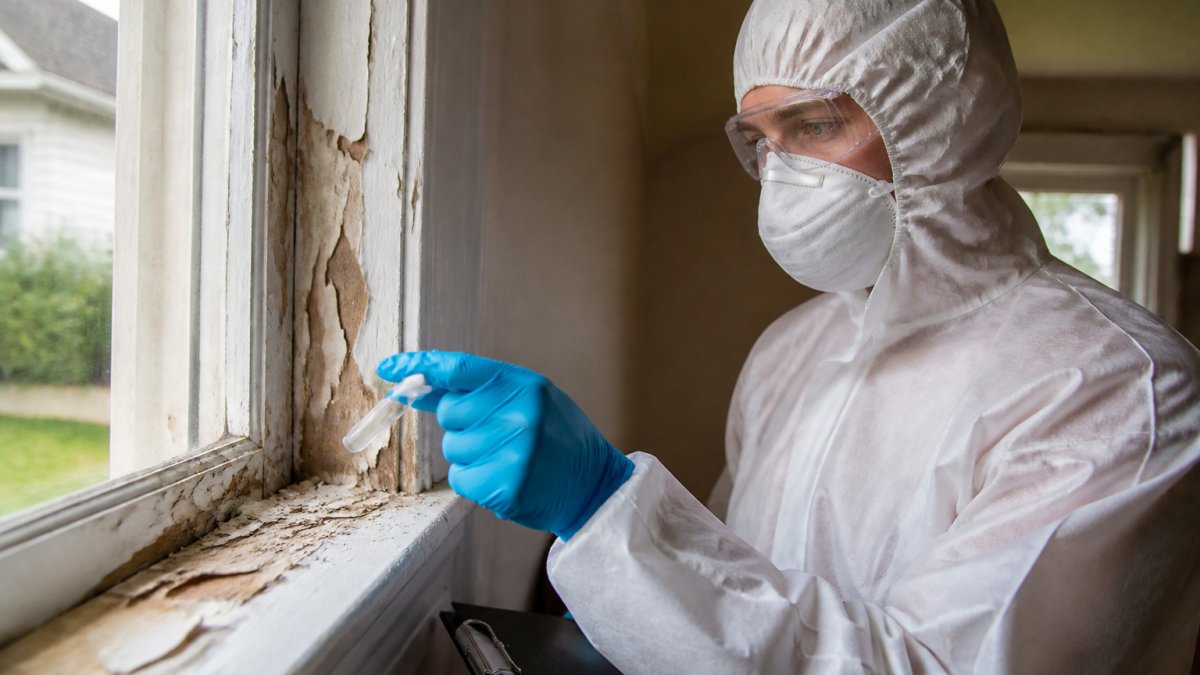 Lead Paint Testing Cost in Virginia: What to Expect