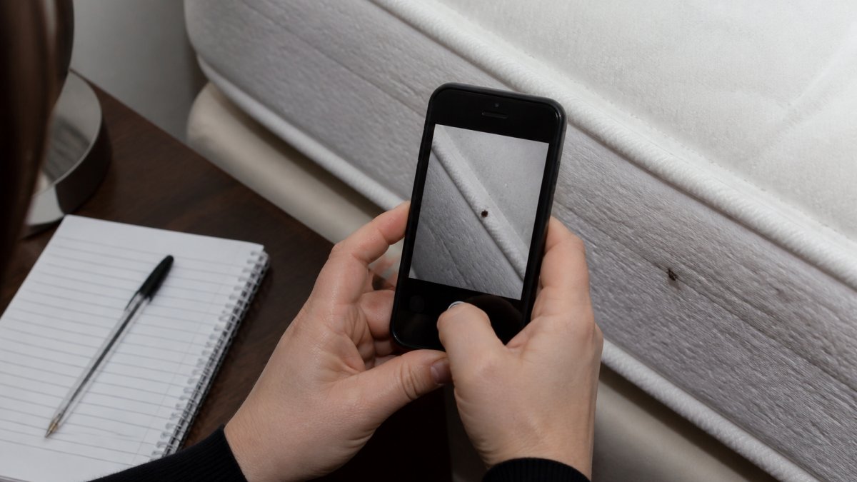 Close-up of a person's hands using a smartphone to photograph a small dark spot on a mattress seam, with a notepad and pen visible nearby on a bedside table