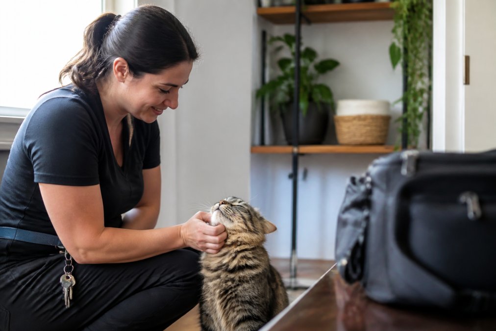 Licensed and Bonded Cat Sitters: What It Means