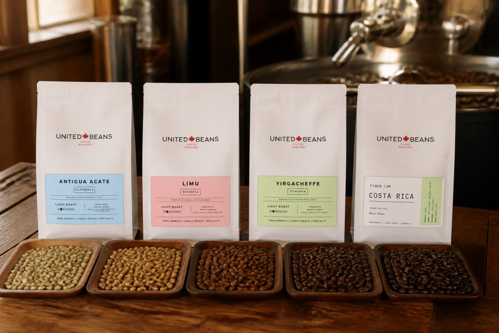 Close-up of coffee beans at different roast stages arranged in progression from light tan to dark brown on a wooden surface with roasting equipment visible in soft background lighting