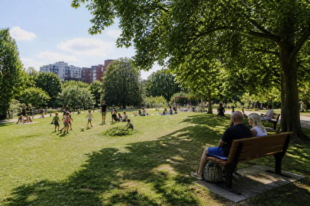 Families enjoying a sunny afternoon in a local park with children playing on grass, mature trees providing dappled shade, and parents relaxing on benches overlooking green spaces