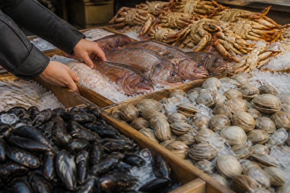 Fresh local seafood display at a coastal market with clams, mussels, live rockfish, and Dungeness crab on crushed ice, hands selecting premium ingredients from wooden crates