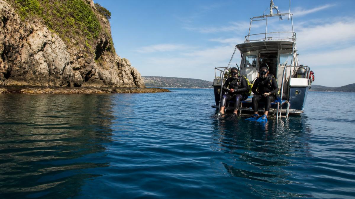 Two divers preparing to enter the water from a boat on scuba diving boat trips near a rocky reef