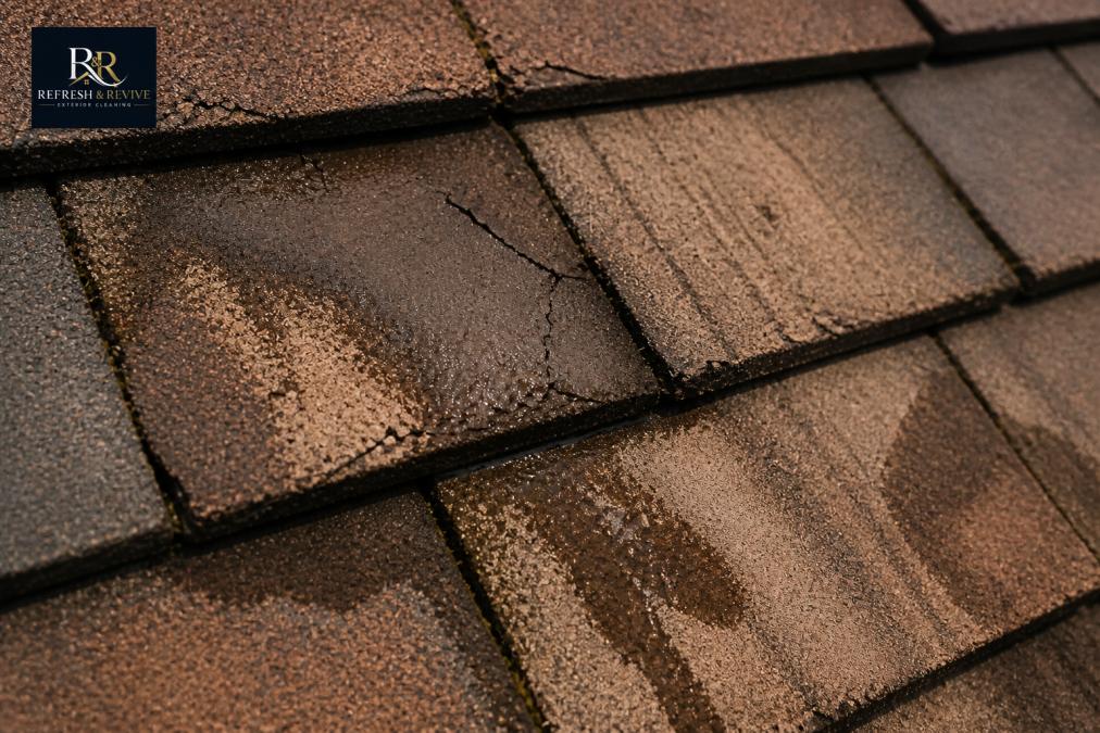 Close-up of roof tiles showing surface granule loss, hairline fractures, and water staining on areas damaged by high-pressure jet washing