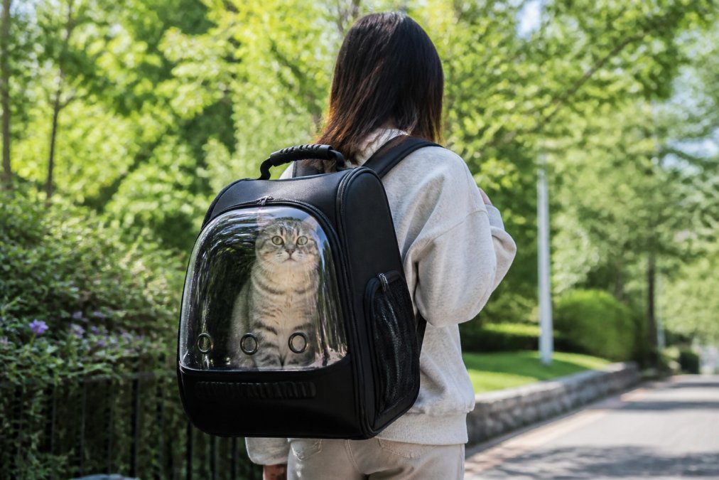 Person wearing a luxury cat carrier backpack with transparent bubble window showing a cat looking out, walking through a bright outdoor setting with natural daylight and green foliage in background
