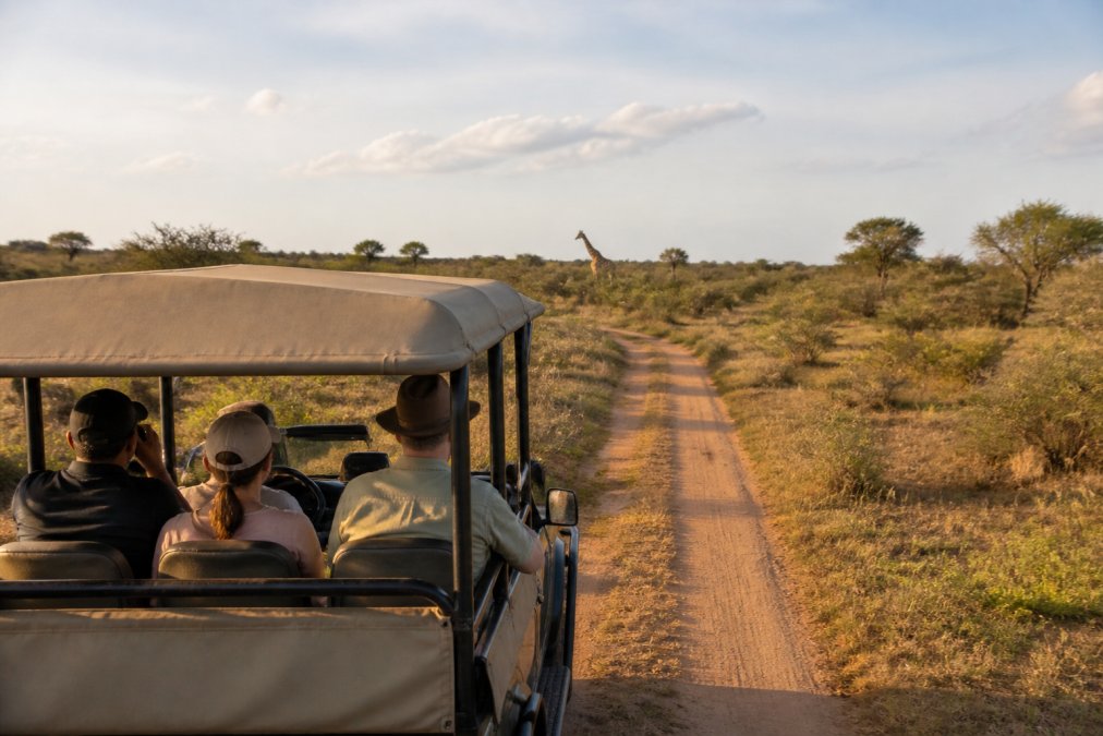 Professional illustration showing Game for luxury safari lodges quality standards