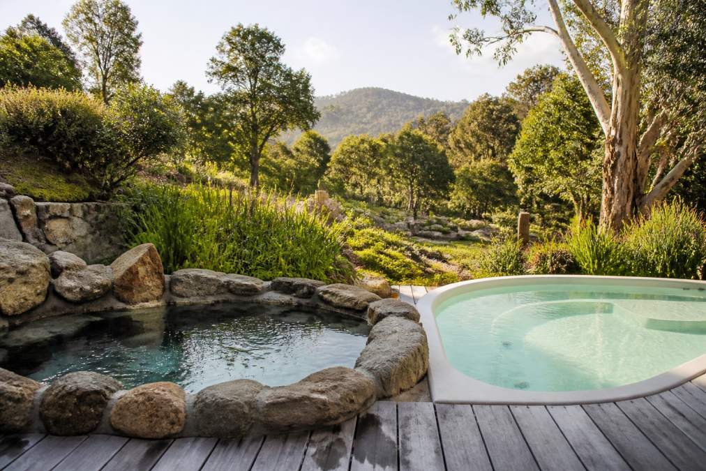 Serene thermal pool surrounded by natural stone features, steam rising, with native Australian gardens and morning light filtering through eucalyptus trees