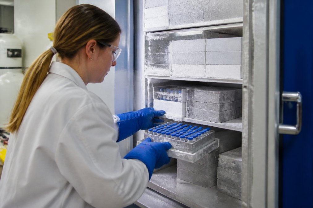 Professional researcher organizing lyophilized peptide vials in labeled storage boxes within a -80°C cryogenic freezer, with frost-covered shelves and careful vial arrangement visible under laboratory lighting