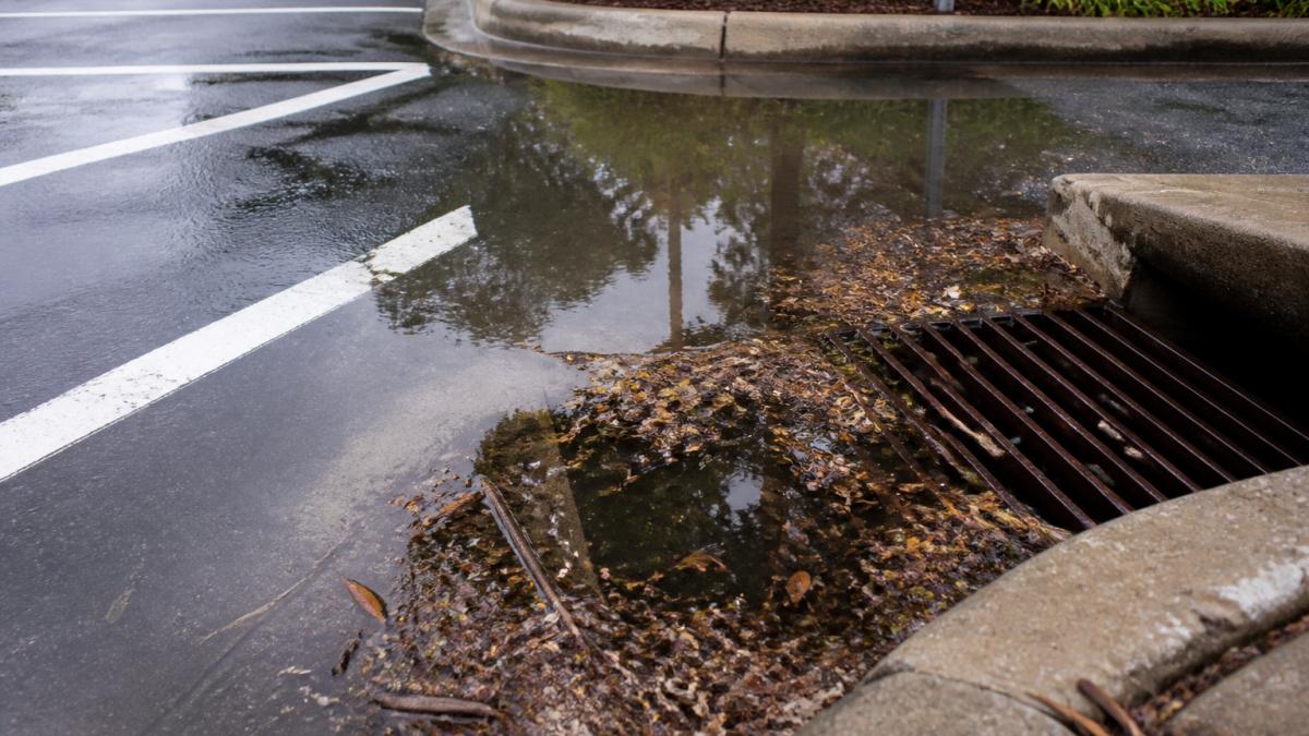 Close-up of standing water and debris accumulated in a commercial parking lot after heavy rain, showing poor drainage near a catch basin in a humid climate