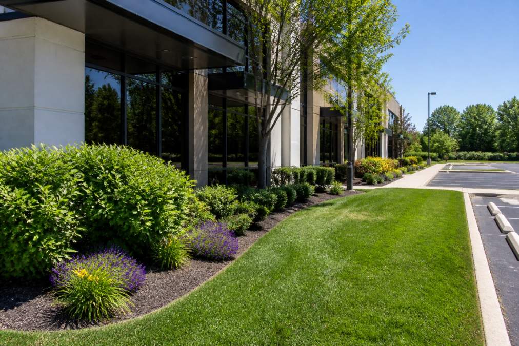 Maintaining Curb Appeal for Commercial Properties