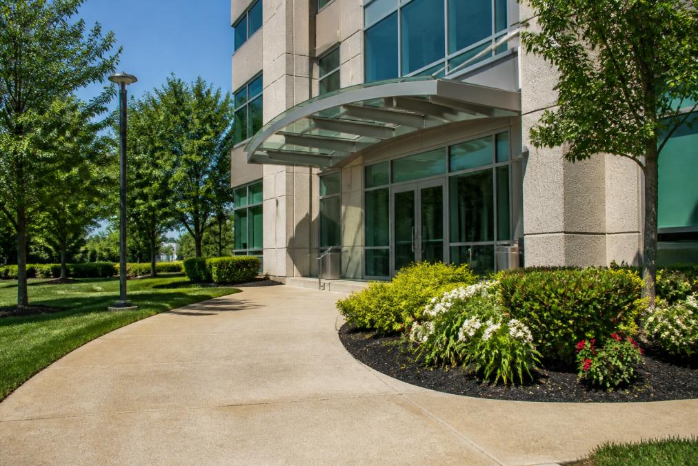 A well-maintained commercial office building entrance with manicured landscaping, clean walkways, and professional signage under clear daylight