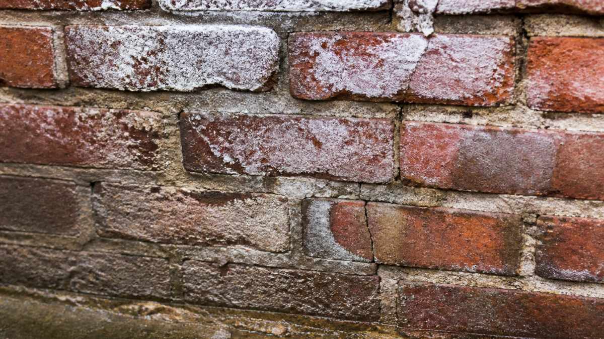 Close-up of brick wall showing visible moisture stains, white efflorescence deposits, and deteriorating mortar joints with hairline cracks between bricks
