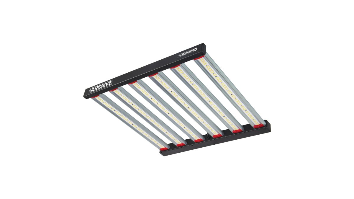 Maxibright VARIDRIVE 360W LED with Integrated Driver