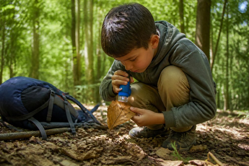 Un enfant de 8 ans utilise son microscope enfant robuste pour observer une feuille morte dans un sous-bois.