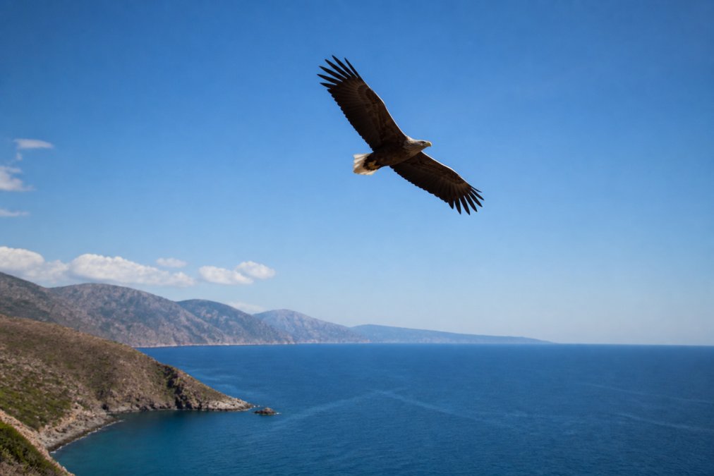 Un águila volando majestuosamente en el cielo despejado, con vistas a un paisaje costero, representando la eficiencia y el alcance óptimo de la climatización