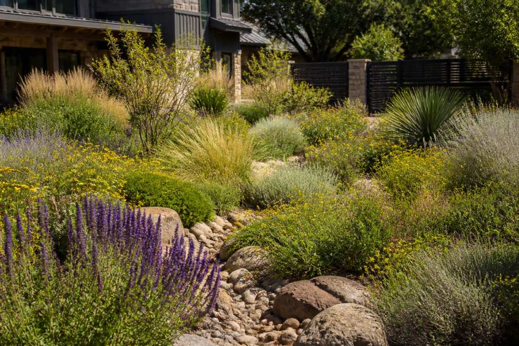 Modern Native Landscape Design 2026: A Practical Guide