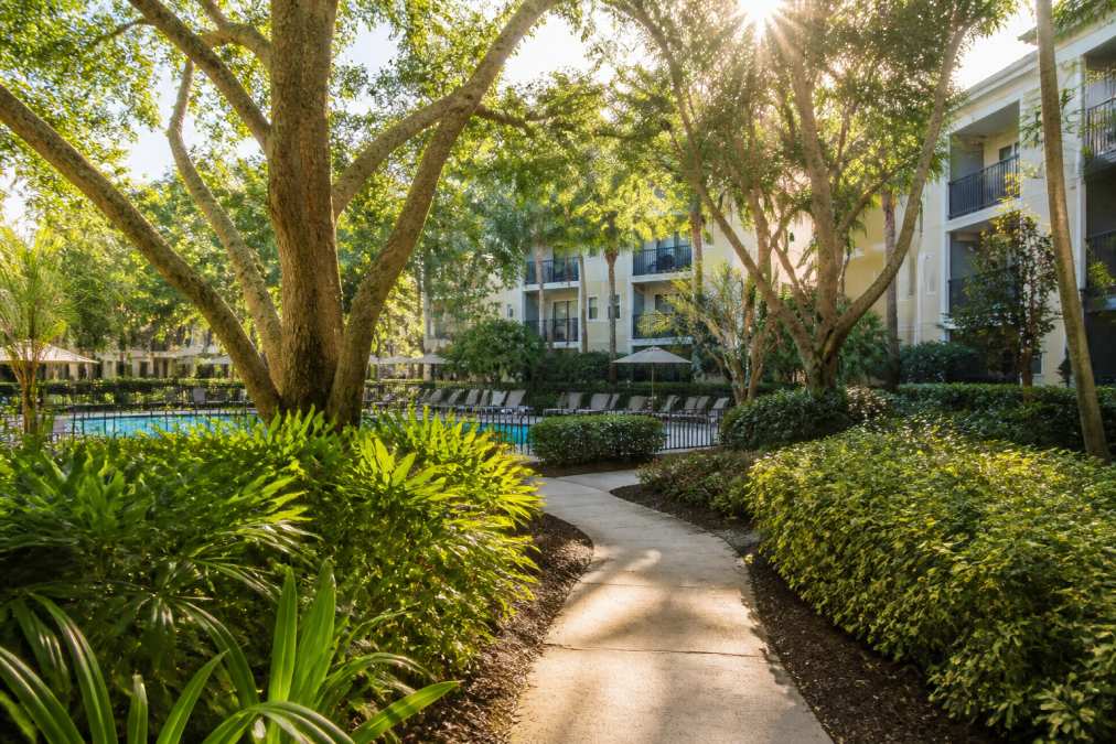 Modern One-Bedroom Apartments in Boca Raton 2 A serene garden pathway lined with lush landscaping and mature trees, resort-style pool with lounge chairs visible in the background, and modern apartment buildings framed through the greenery with morning sunlight filtering through the canopy