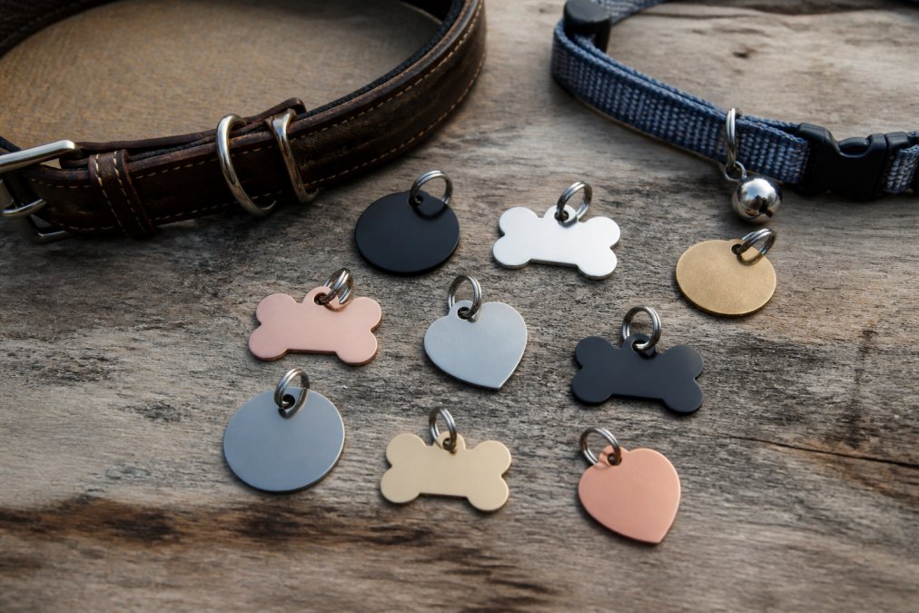 Overhead close-up of an assortment of pet ID tags in bone, round and heart shapes arranged on a weathered timber table beside a leather dog collar and a slim cat collar, soft daylight from a nearby window