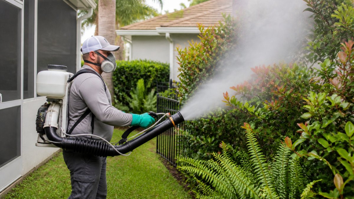 Mosquito Control Services: A Complete Guide