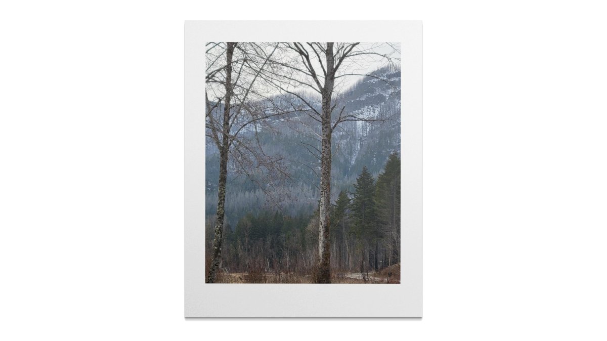 Mountain Forest Wall Art, Winter Landscape Print, Scenic Nature Photography, Rustic Home Decor, Natural Wall Poster, Wooded Area Image