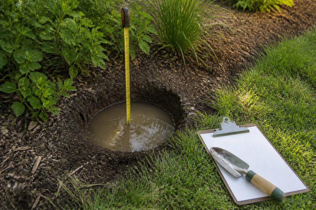Homeowner measuring soil drainage as a first step in native garden design planning.