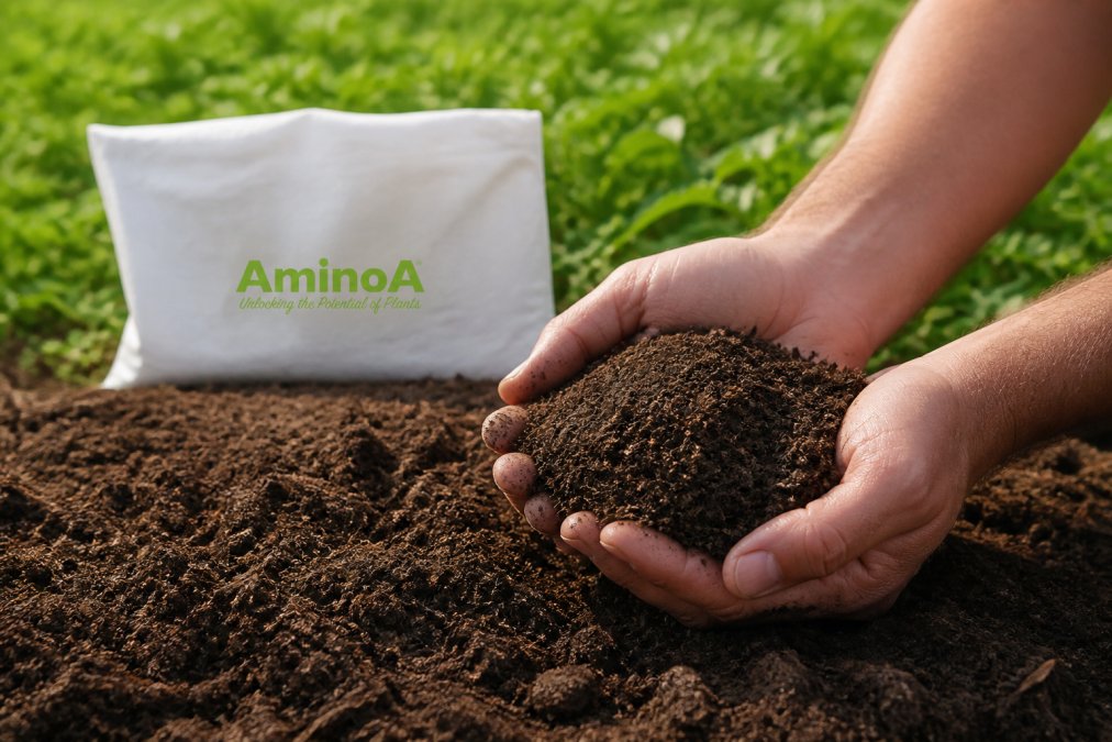 Natural Alternatives to Synthetic Nitrogen Fertilisers