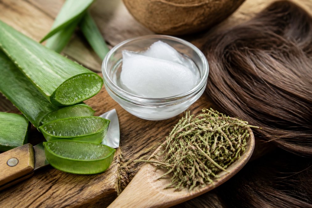 Close-up of fresh aloe vera leaves being cut, coconut oil in a glass bowl, and dried horsetail plant arranged on a natural wooden surface with strands of healthy hair nearby, soft natural daylight