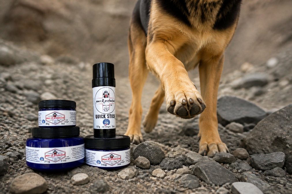Working dog trotting across rocky, rugged terrain with visible paw pads, showing sharp stones and challenging ground conditions that demand protection