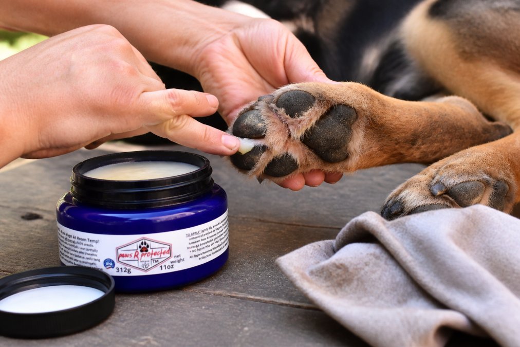Close-up of hands gently applying natural paw balm to a dog's paw pad, working between the toes and around the toe pads with careful precision