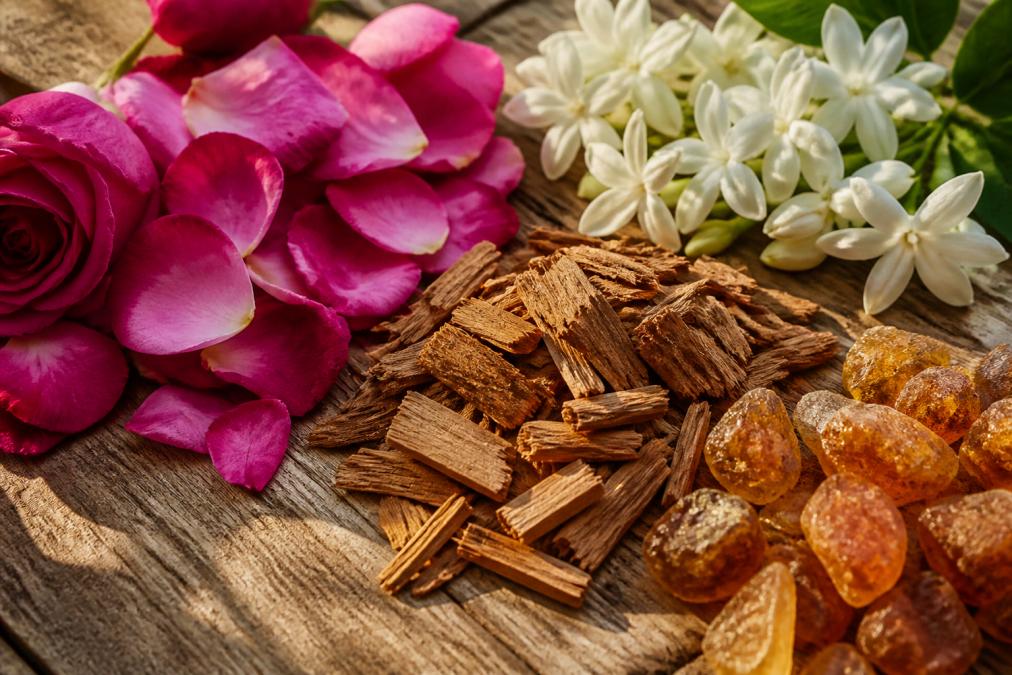 Close-up of fresh botanical materials including rose petals, jasmine flowers, sandalwood wood chips, and amber resin arranged on a natural wooden surface with soft afternoon sunlight creating warm shadows