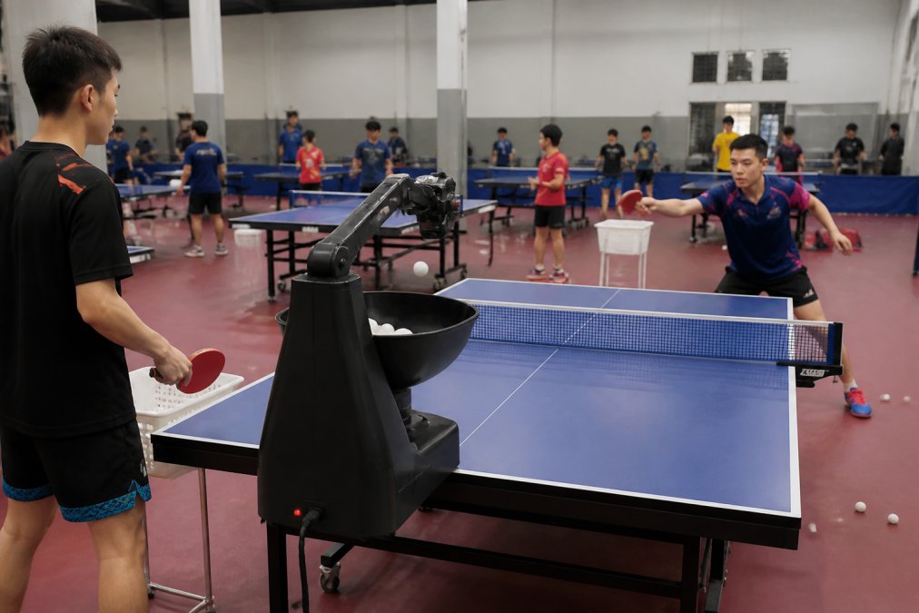 Newgy Alternative for Training Clubs: 5 Best Options