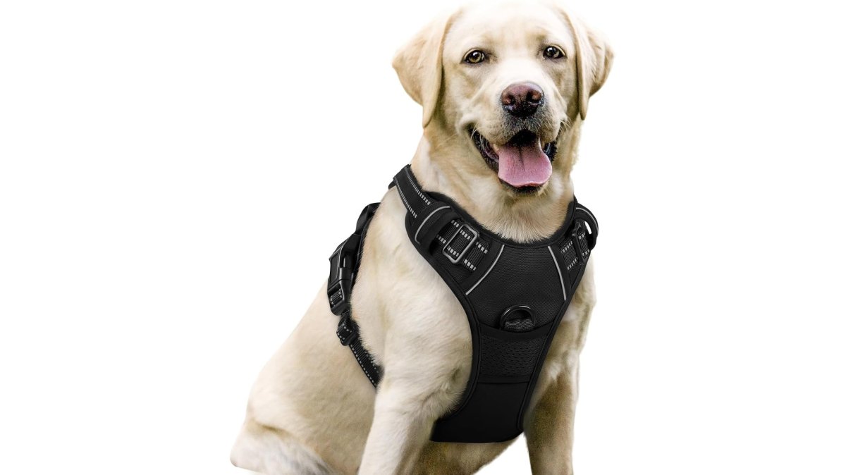 No-Pull Dog Harness with 2 Leash Clips – Adjustable, Reflective, Padded Vest for Large Dogs (Black, L)