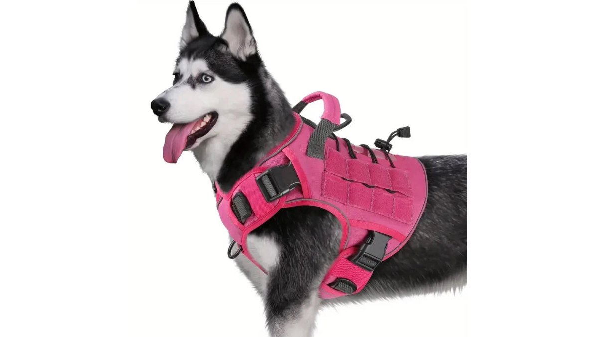 No-Pull Tactical Dog Harness with Handle | Adjustable Reflective Vest for Large Dogs