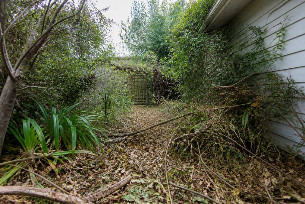 Overgrown residential garden with dense tangled vegetation, fallen branches and accumulated leaf litter covering pathways before professional clean up work begins