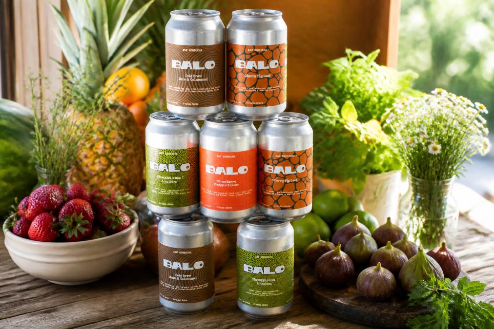 Colorful assortment of different raw kombucha flavors displayed in glass bottles, showing vibrant hues of deep red, golden amber, and green from botanical infusions, arranged on a wooden table with fresh ingredients like strawberries, figs, and herbs scattered around, bright natural daylight illuminating the bottles