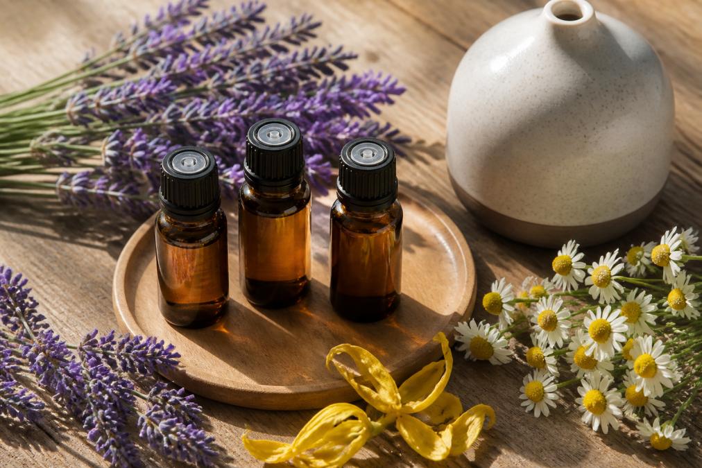 Flat lay of Lavender, Ylang Ylang, and Roman Chamomile essential oil bottles arranged on a natural wooden surface with fresh lavender sprigs, chamomile flowers, and a ceramic diffuser nearby, soft afternoon sunlight creating gentle shadows