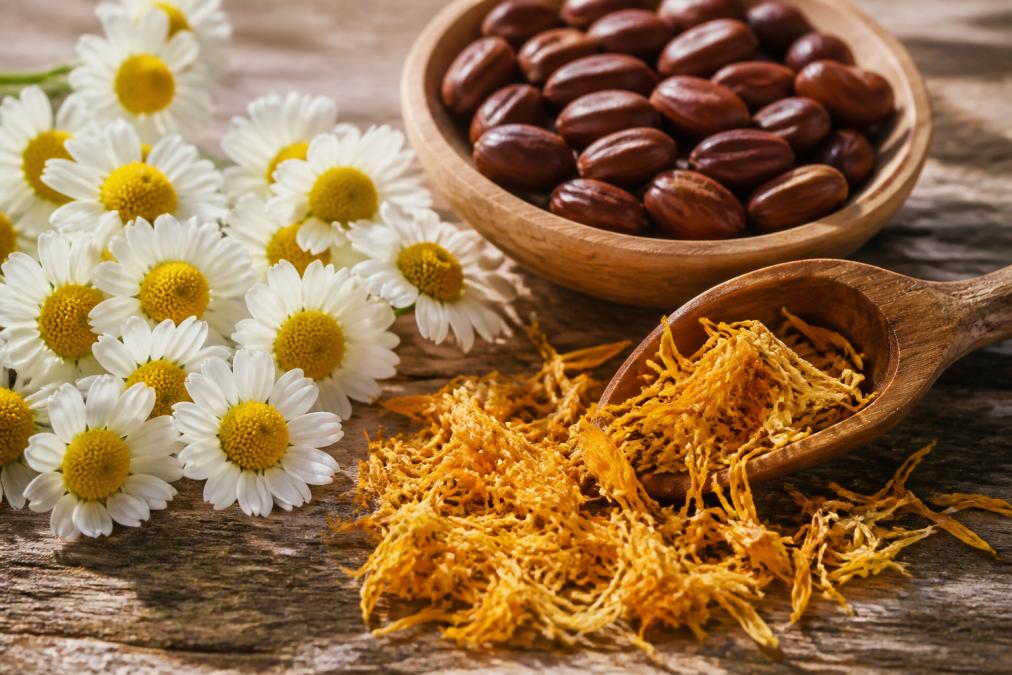 Close-up of chamomile flowers, calendula petals, and jojoba seeds arranged on a natural wooden surface with soft morning light casting gentle shadows