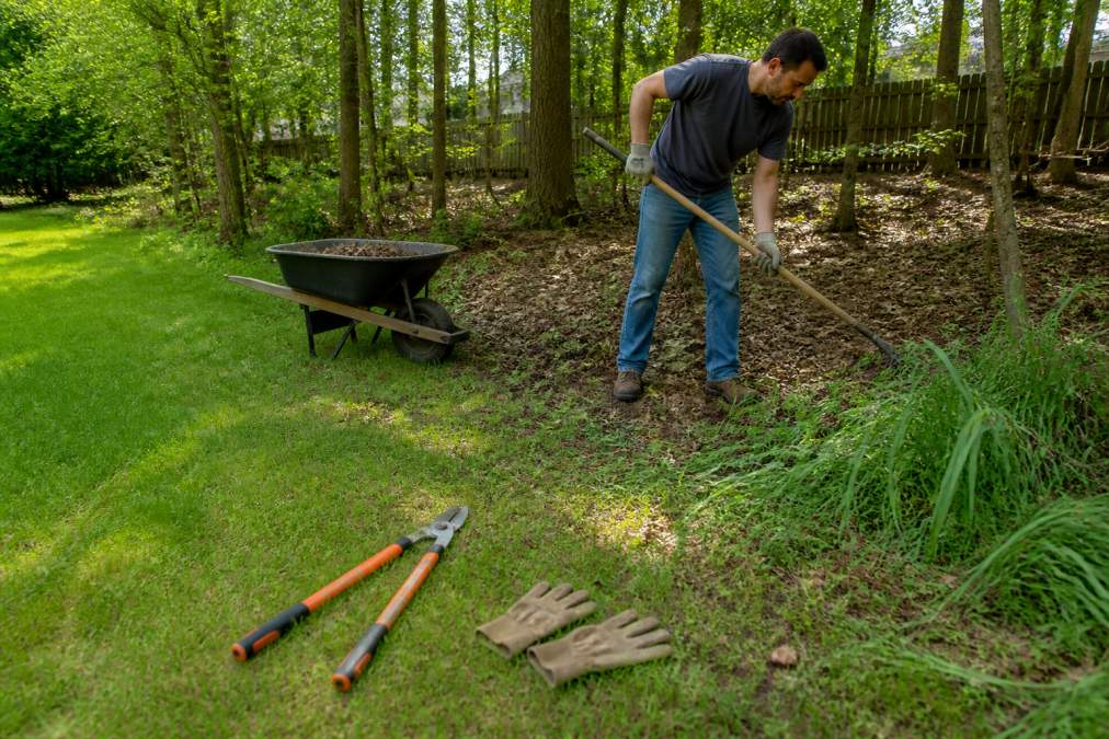 A homeowner in casual outdoor clothing clearing leaf litter and trimming tall grass along the edge of a wooded backyard, with a wheelbarrow and garden tools nearby in soft daylight