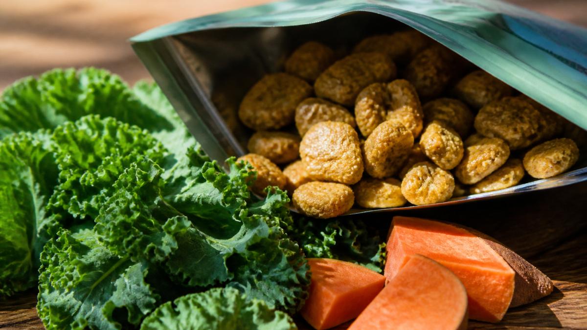 Close-up of open Dog Mamma's Organic Sweet Potato & Kale treat bag with crunchy golden bites visible, fresh organic kale leaves and sweet potato pieces arranged in the foreground on a natural wooden surface with soft morning light