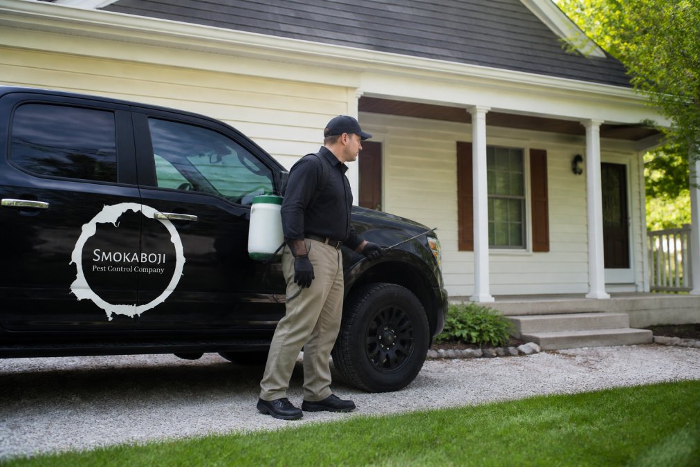Orkin Alternatives for Northwest Iowa: 7 Local Options