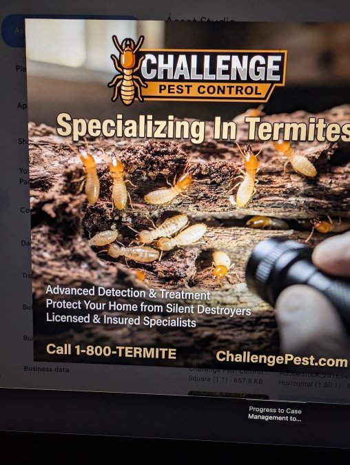 Commercial Pest Management Requirements Perth Guide