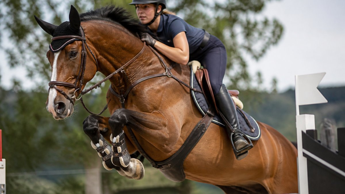 Cavalier en plein saut montrant le grip transparent aux genoux d'un pantalon d'équitation technique.